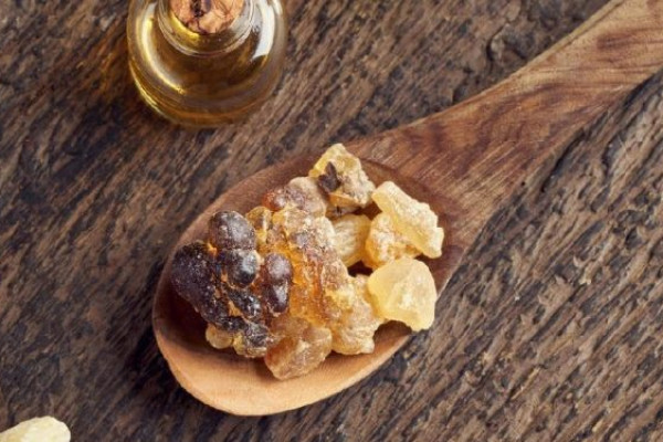 Kemenperin Gencarkan Hilirisasi Kemenyan Harumkan Indonesia